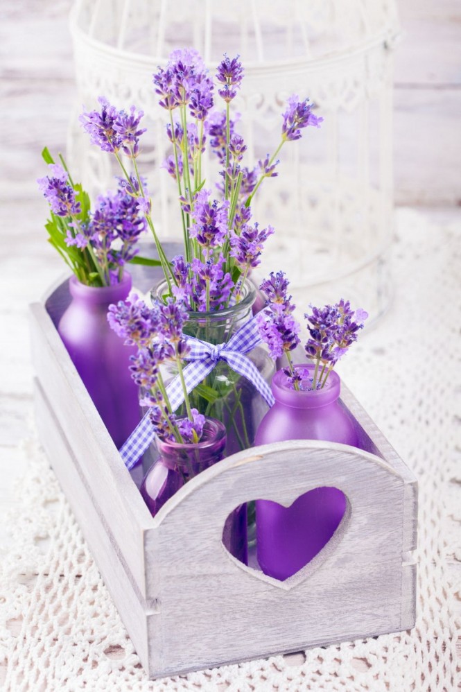 Lavender Лаванда Decor