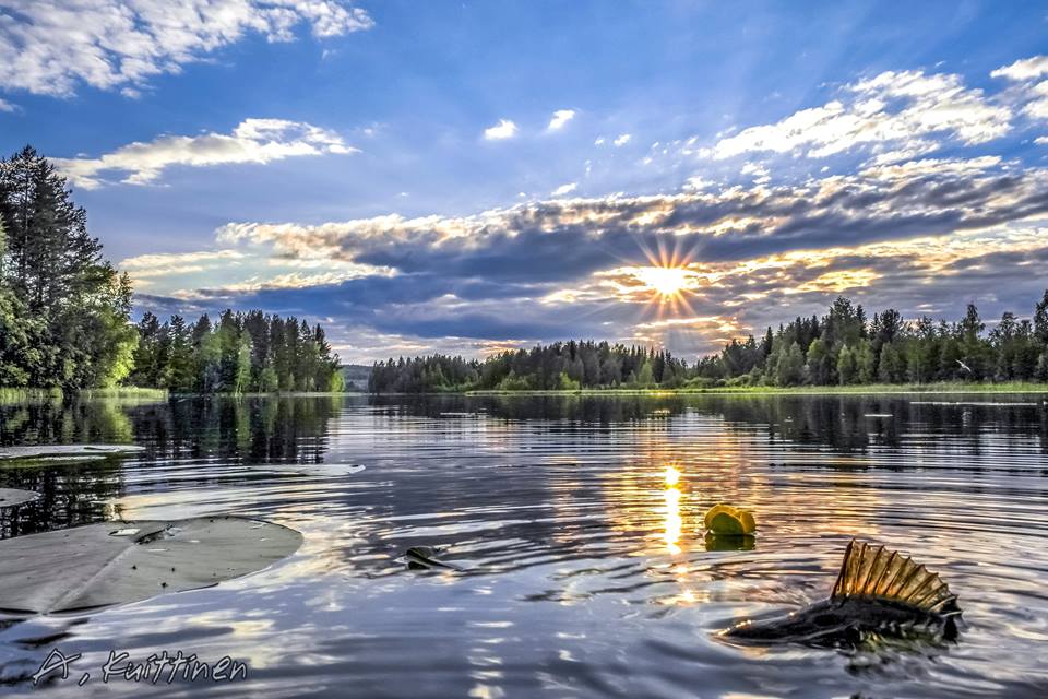 Финский фотограф Asko Kuittinen: летние и осенние пейзажи.