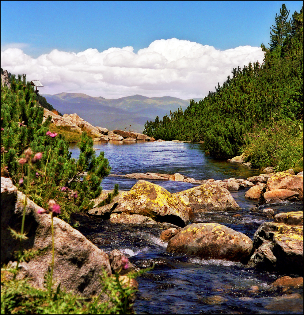 Lake place. Болгария Горная река. Пейзажи Болгарии. Природа Европы. Восточная Европа природа.