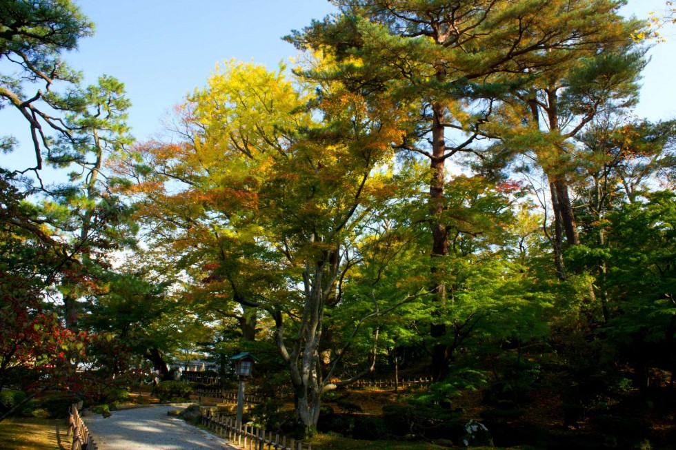 Один из красивейших парков Японии. Сад Кэнроку-эн 