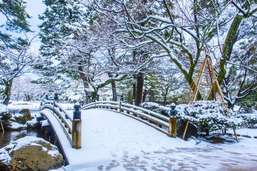 Куркино японский парк зимой