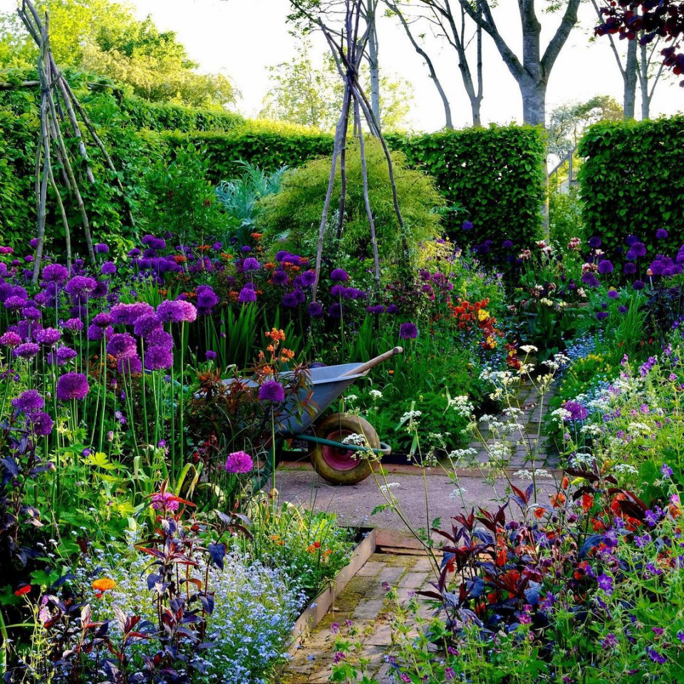 Британские сады с Монти Доном